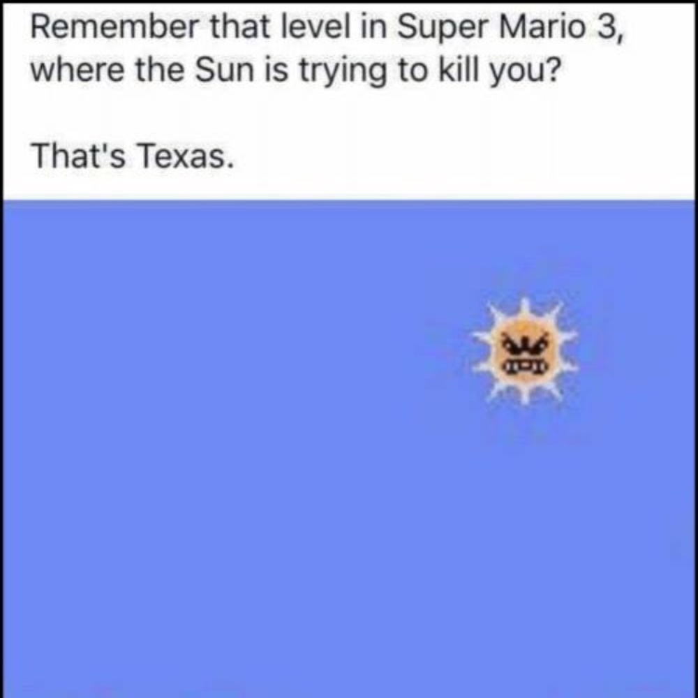 Meet your Posher, Gabby